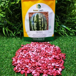 Авалон F1 (1000 сем.) семена арбуза Innova Seeds